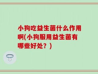 小狗吃益生菌什么作用啊(小狗服用益生菌有哪些好处？)
