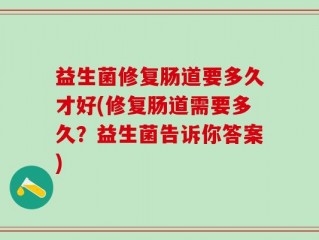 益生菌修复肠道要多久才好(修复肠道需要多久？益生菌告诉你答案)