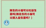 刚生的小猫可以吃益生菌吗(刚出生的小猫可以摄入益生菌吗？)