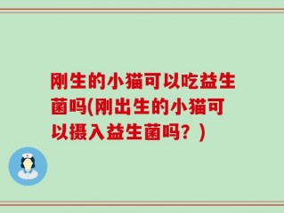 刚生的小猫可以吃益生菌吗(刚出生的小猫可以摄入益生菌吗？)