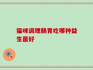 猫咪调理肠胃吃哪种益生菌好