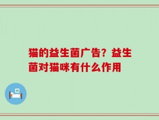 猫的益生菌广告？益生菌对猫咪有什么作用