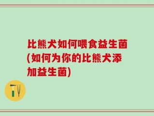 比熊犬如何喂食益生菌(如何为你的比熊犬添加益生菌)