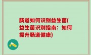 肠道如何识别益生菌(益生菌识别指南：如何提升肠道健康)