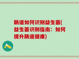 肠道如何识别益生菌(益生菌识别指南：如何提升肠道健康)