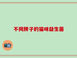 不同牌子的猫咪益生菌