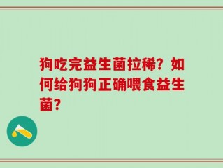 狗吃完益生菌拉稀？如何给狗狗正确喂食益生菌？