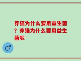 养猫为什么要用益生菌？养猫为什么要用益生菌呢