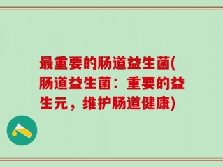 最重要的肠道益生菌(肠道益生菌：重要的益生元，维护肠道健康)