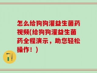 怎么给狗狗灌益生菌药视频(给狗狗灌益生菌药全程演示，助您轻松操作！)