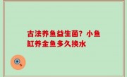 古法养鱼益生菌？小鱼缸养金鱼多久换水