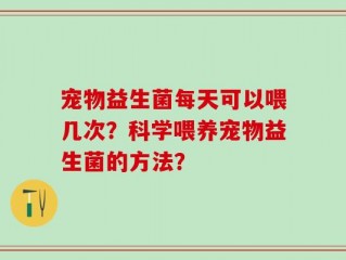 宠物益生菌每天可以喂几次？科学喂养宠物益生菌的方法？
