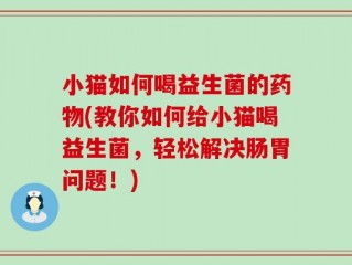 小猫如何喝益生菌的药物(教你如何给小猫喝益生菌，轻松解决肠胃问题！)