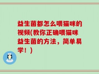 益生菌都怎么喂猫咪的视频(教你正确喂猫咪益生菌的方法，简单易学！)