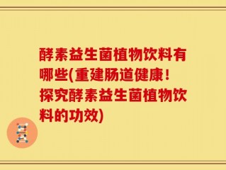 酵素益生菌植物饮料有哪些(重建肠道健康！探究酵素益生菌植物饮料的功效)