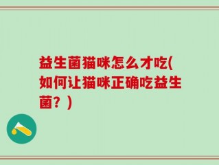 益生菌猫咪怎么才吃(如何让猫咪正确吃益生菌？)