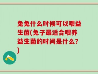 兔兔什么时候可以喂益生菌(兔子最适合喂养益生菌的时间是什么？)