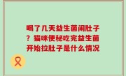 喝了几天益生菌闹肚子？猫咪便秘吃完益生菌开始拉肚子是什么情况
