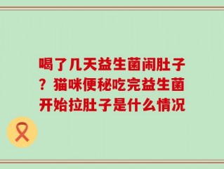 喝了几天益生菌闹肚子？猫咪便秘吃完益生菌开始拉肚子是什么情况