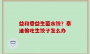 益和香益生菌水饺？泰迪偷吃生饺子怎么办