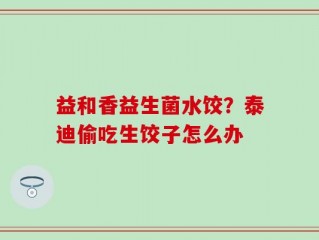 益和香益生菌水饺？泰迪偷吃生饺子怎么办