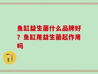 鱼缸益生菌什么品牌好？鱼缸用益生菌起作用吗