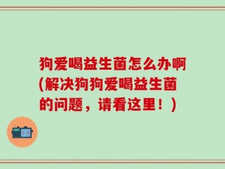 狗爱喝益生菌怎么办啊(解决狗狗爱喝益生菌的问题，请看这里！)