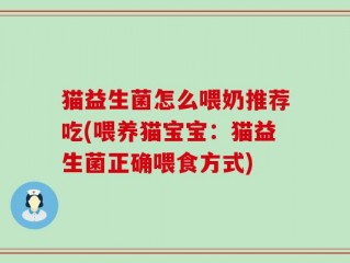 猫益生菌怎么喂奶推荐吃(喂养猫宝宝：猫益生菌正确喂食方式)