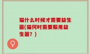 猫什么时候才需要益生菌(猫何时需要服用益生菌？)