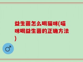 益生菌怎么喝猫咪(喵咪喝益生菌的正确方法)