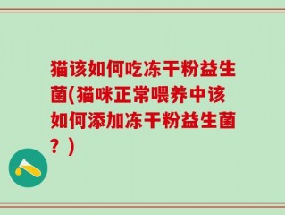 猫该如何吃冻干粉益生菌(猫咪正常喂养中该如何添加冻干粉益生菌？)
