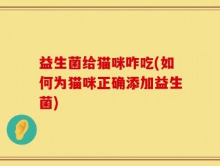 益生菌给猫咪咋吃(如何为猫咪正确添加益生菌)