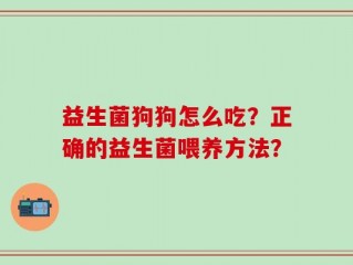 益生菌狗狗怎么吃？正确的益生菌喂养方法？