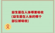 益生菌在人体哪里吸收(益生菌在人体的哪个部位被吸收)