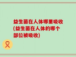 益生菌在人体哪里吸收(益生菌在人体的哪个部位被吸收)