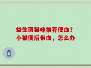 益生菌猫咪推荐便血？小猫便后带血，怎么办