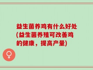 益生菌养鸡有什么好处(益生菌养殖可改善鸡的健康，提高产量)