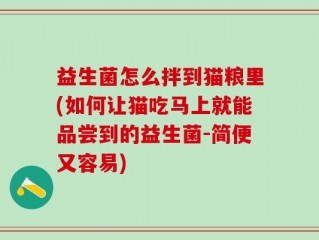 益生菌怎么拌到猫粮里(如何让猫吃马上就能品尝到的益生菌-简便又容易)