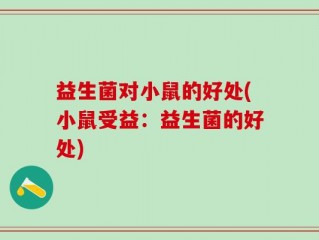 益生菌对小鼠的好处(小鼠受益：益生菌的好处)
