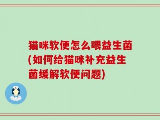 猫咪软便怎么喂益生菌(如何给猫咪补充益生菌缓解软便问题)