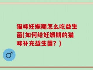 猫咪妊娠期怎么吃益生菌(如何给妊娠期的猫咪补充益生菌？)