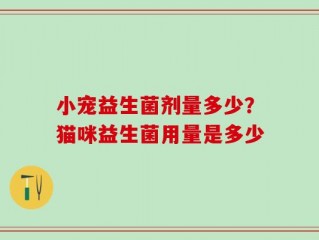小宠益生菌剂量多少？猫咪益生菌用量是多少
