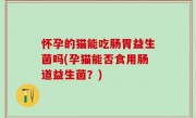 怀孕的猫能吃肠胃益生菌吗(孕猫能否食用肠道益生菌？)