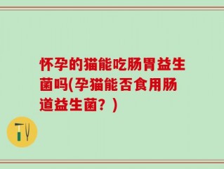 怀孕的猫能吃肠胃益生菌吗(孕猫能否食用肠道益生菌？)