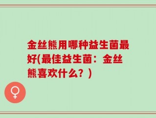 金丝熊用哪种益生菌最好(最佳益生菌：金丝熊喜欢什么？)