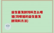 益生菌发酵饲料怎么喂猪(饲喂猪的益生菌发酵饲料方法)