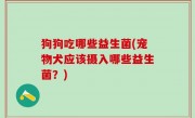 狗狗吃哪些益生菌(宠物犬应该摄入哪些益生菌？)