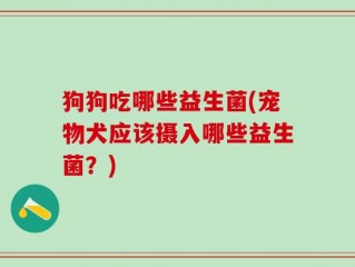 狗狗吃哪些益生菌(宠物犬应该摄入哪些益生菌？)