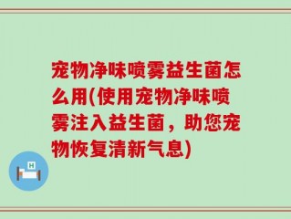 宠物净味喷雾益生菌怎么用(使用宠物净味喷雾注入益生菌，助您宠物恢复清新气息)