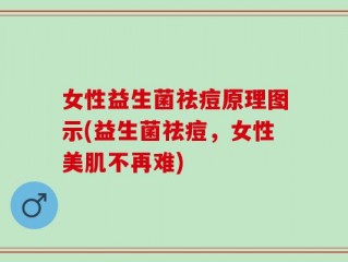 女性益生菌祛痘原理图示(益生菌祛痘，女性美肌不再难)